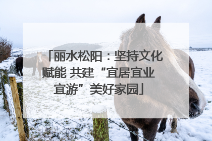 丽水松阳：坚持文化赋能 共建“宜居宜业宜游”美好家园